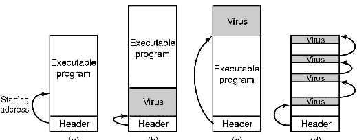 Figure 9-2. (a) An executable program. (b) With a virus at the front. (c) With a virus at the end. (d) With a virus spread over free space within the program.