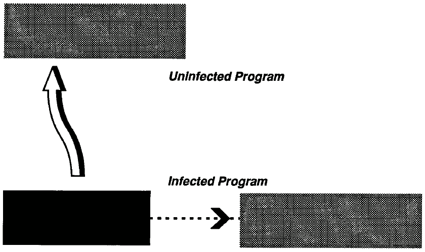 Figure 3: Intiusive Virus Infection.