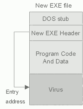 Figure 2: Virus positions in New EXE file