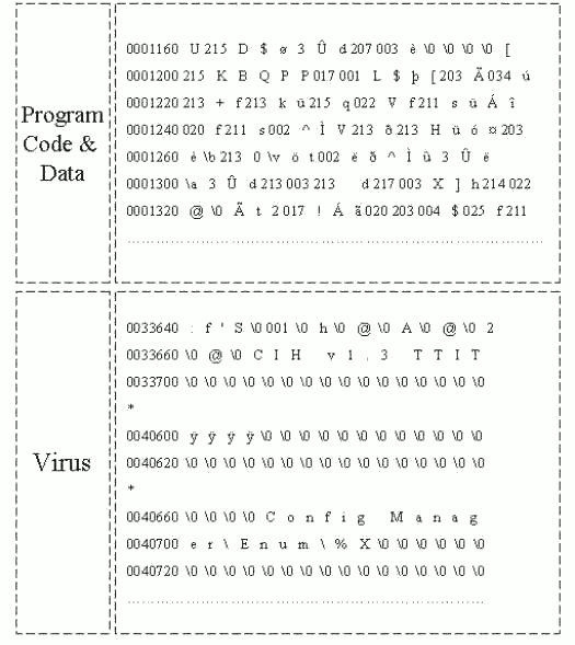 Figure 4: Windows Executable file: Program Code & Data and Virus position.