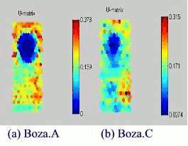 Figure 9: SOMs of Win95 Boza.A and Boza.C viruses.