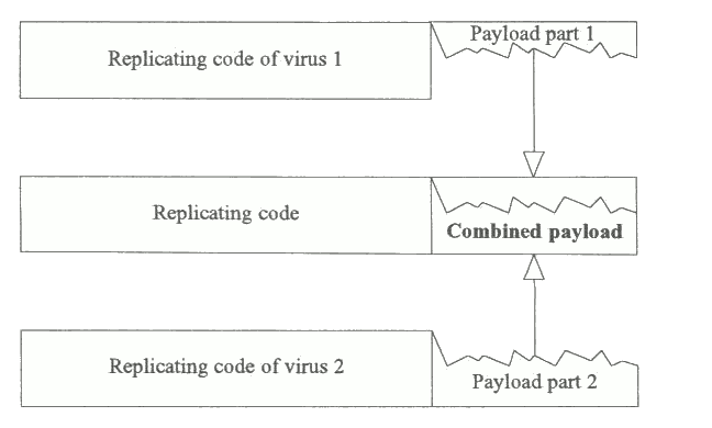 Fig. 3.12 Binary virus - two parts combining to get a meaningful payload