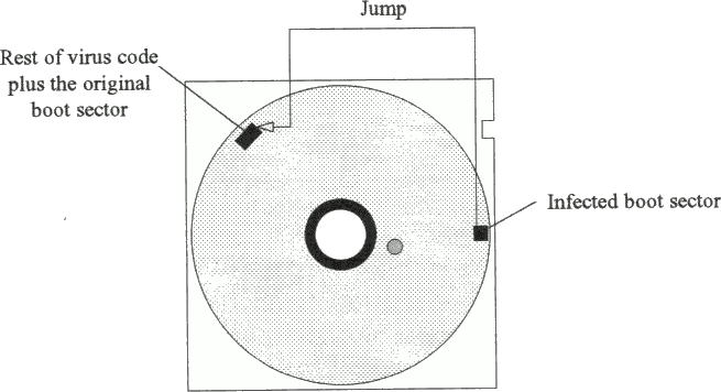 Fig. 3.2b Infected disk