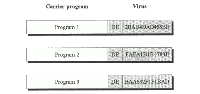Fig. 3.8 Three programs infected with an identical encrypted virus