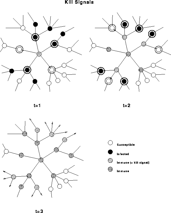 Figure 7: Fighting self-replication with self-replication. When a computer detects a virus, it eliminates the infection, immunizes itself against future infection, and sends a ``kill signal'' to its neighbors. Receipt of the kill signal results in the immunization of uninfected neighbors; infected neighbors are both immunized and prompted to send kill signals to their neighbors. Thus detection of a virus by a single computer can trigger a wave of kill signals that propagates along the path taken by the virus, destroying the virus in its wake.