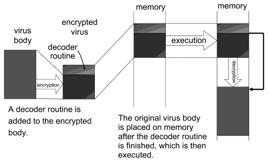 Fig.2 Self-encrypting virus