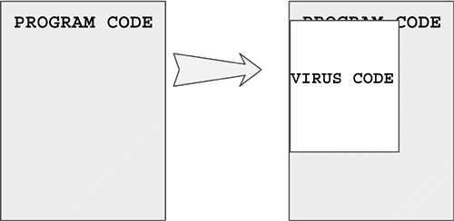 Figure 4.5. A random overwriter virus.