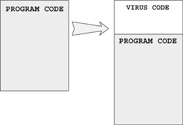 Figure 4.7. A typical prepender virus.