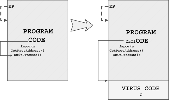 Figure 4.21. An EPO virus that hooks API calls of the host.