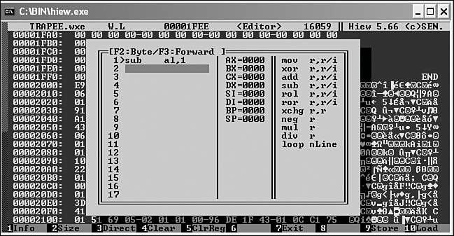 Figure 15.8. The decryption dialog of HIEW.