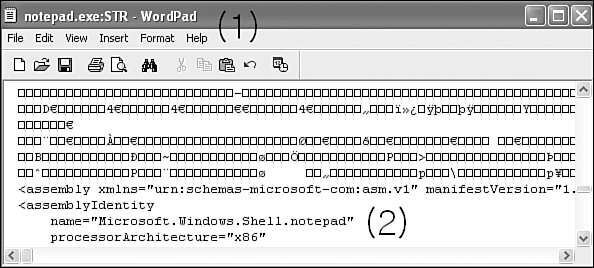 Figure 15.11. An infected notepad.exe, with the content of the host in a stream.