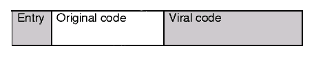 Figure 1: Basic Virus
