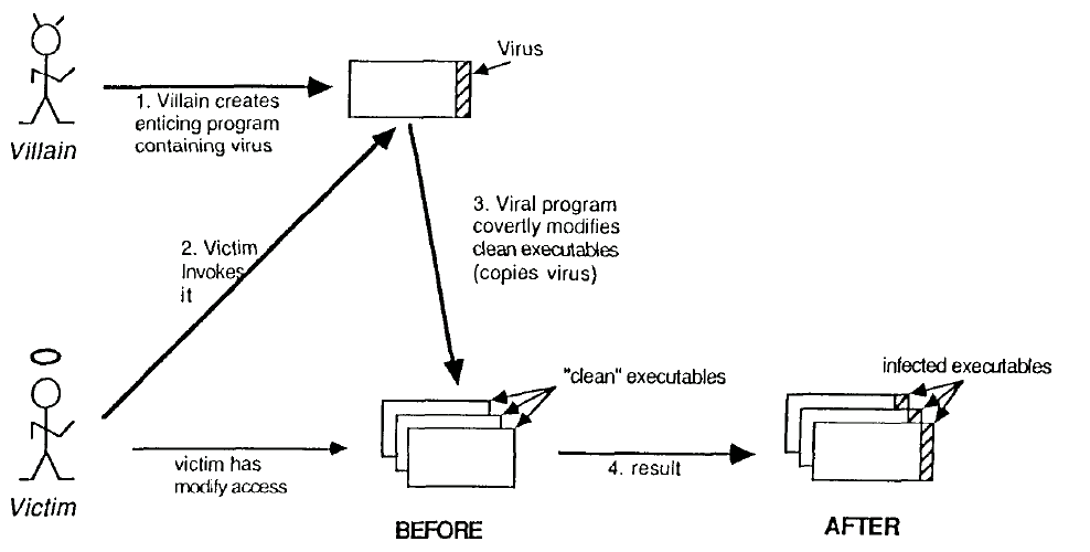 Fig. 1. The process of infection.