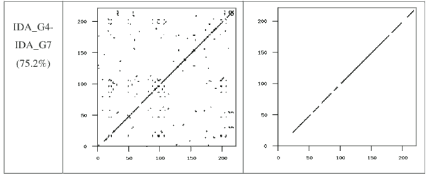 Figure 6: Typical G2 Similarity Graph