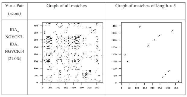 Figure 10: NGVCK Maximum Similarity Graph
